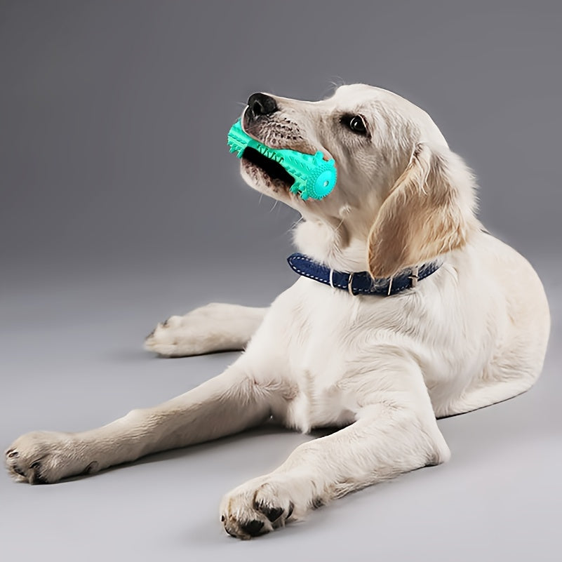 Dental Chew Toy