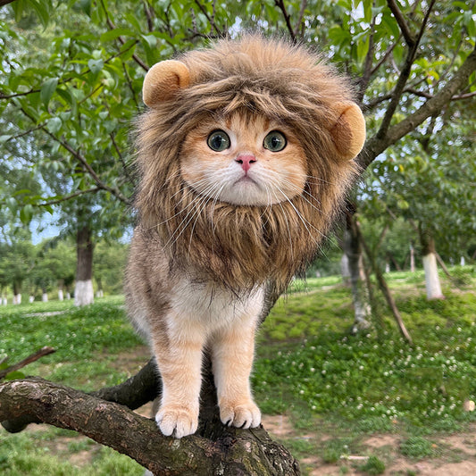 Lion Mane Pet Costume