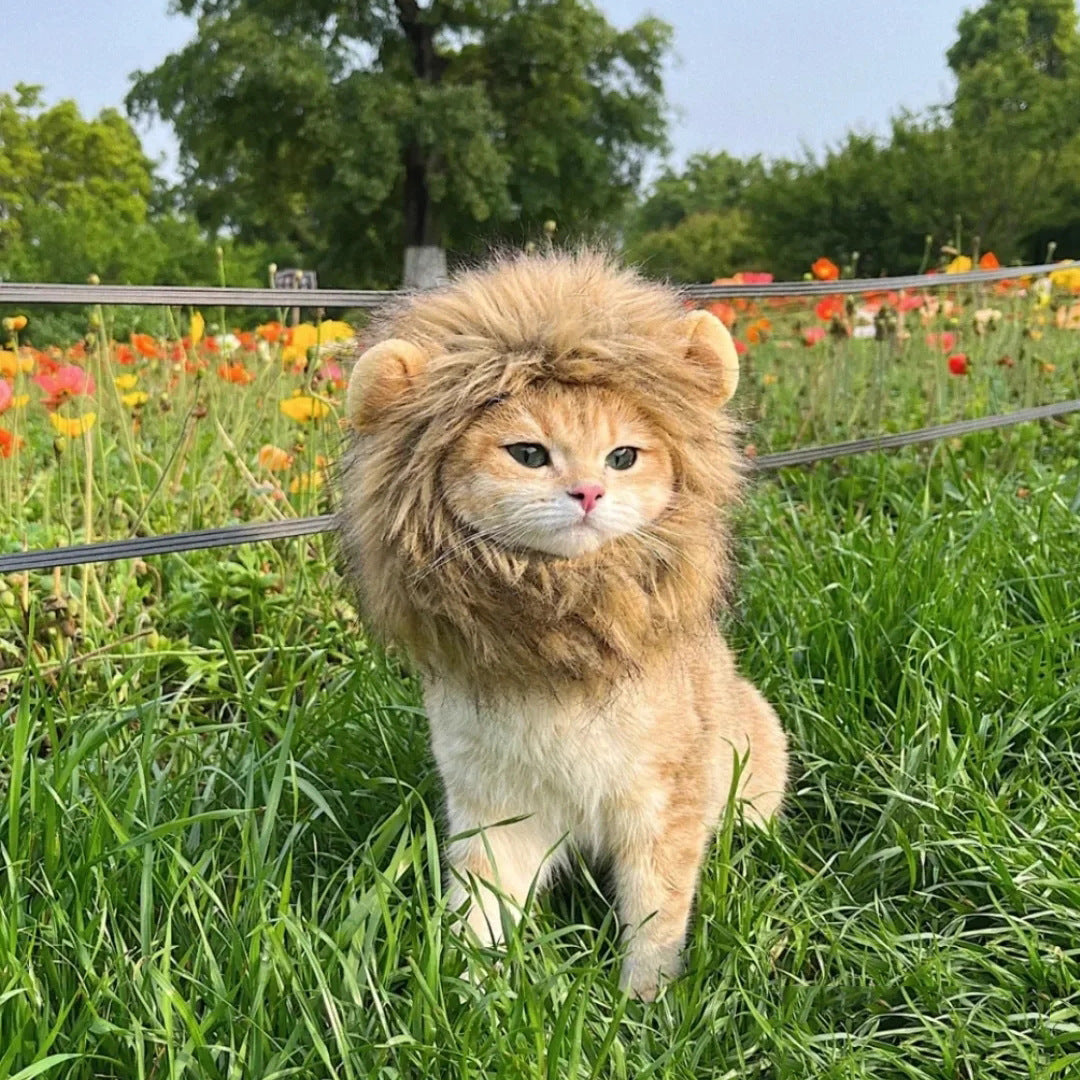 Lion Mane Pet Costume