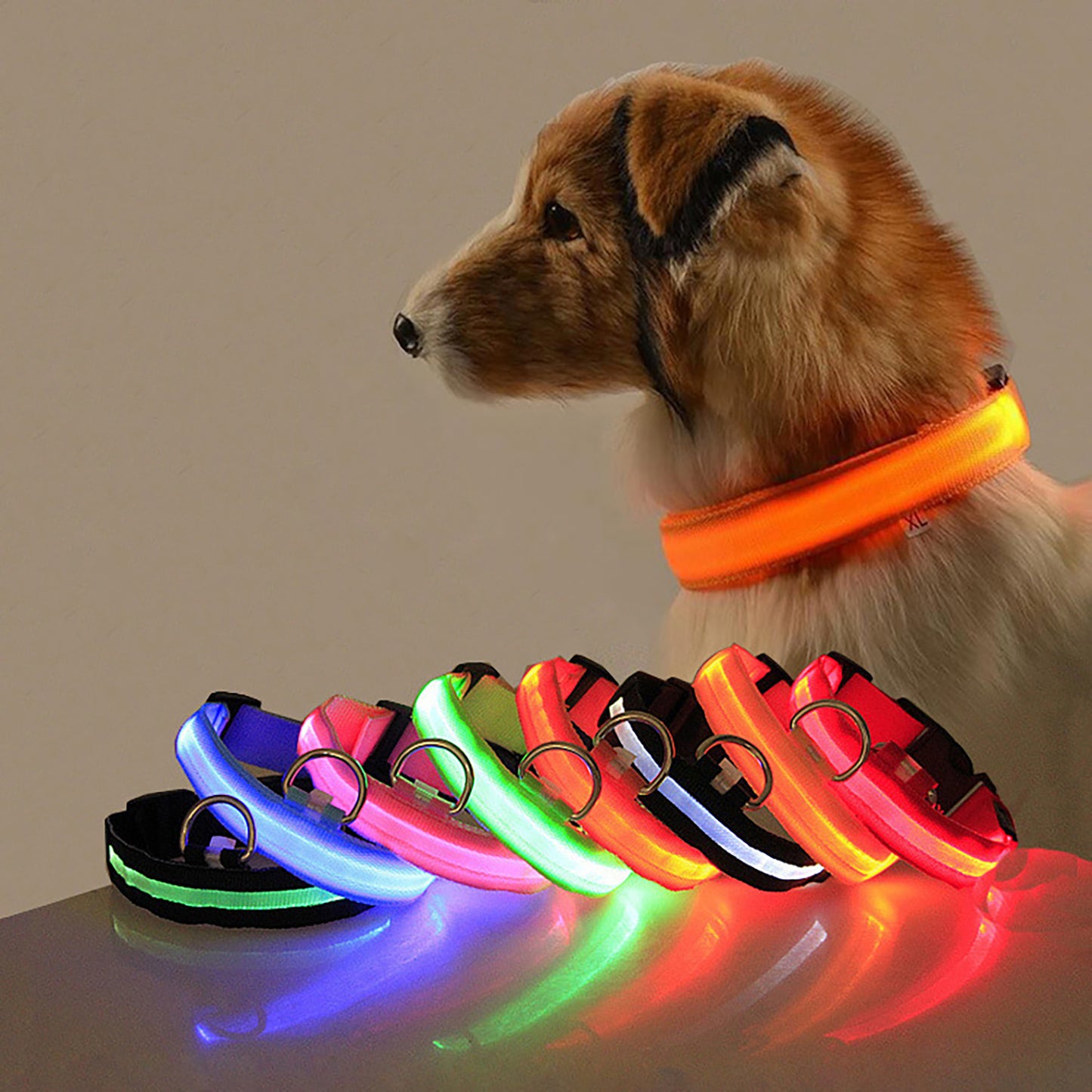 Adjustable Luminous Collar