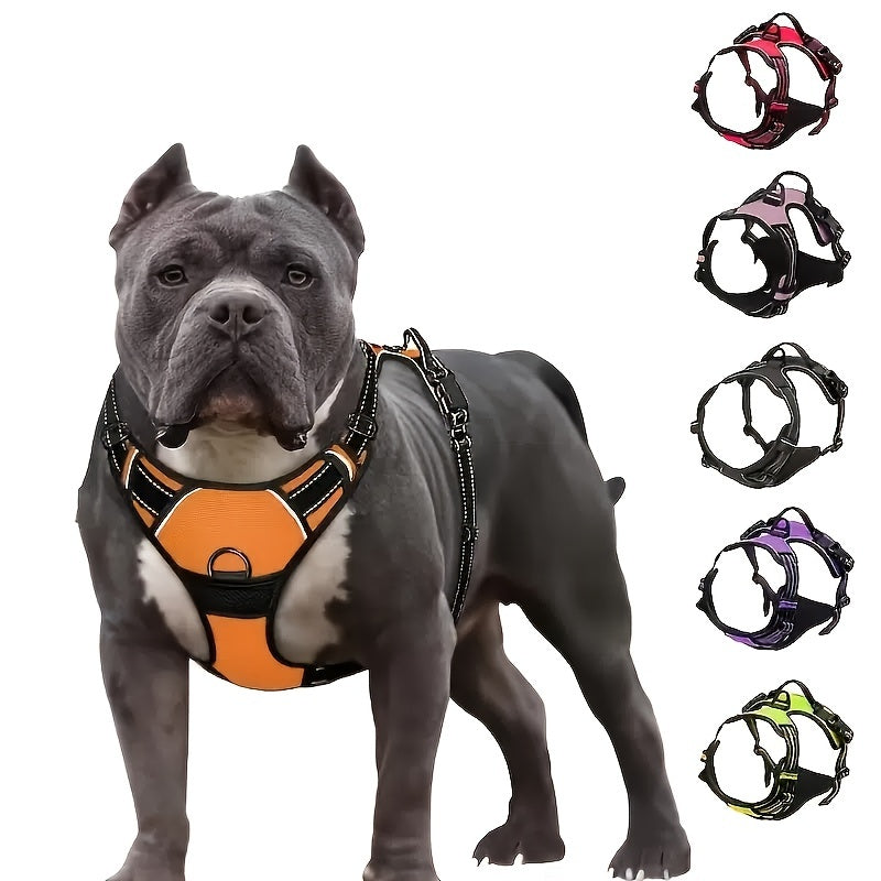 Reflective Harness