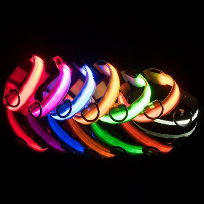 Adjustable Luminous Collar