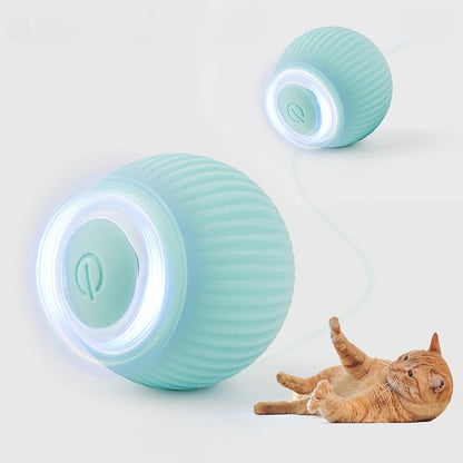 MagicPaw™️ Interactive Toy Ball