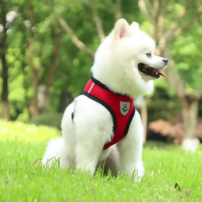 Reflective Pet Harness