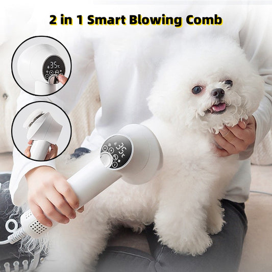 Smart Steam Brush