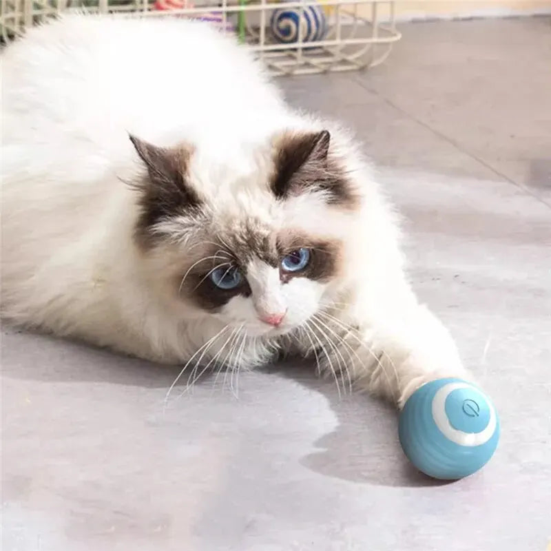 MagicPaw™️ Interactive Toy Ball