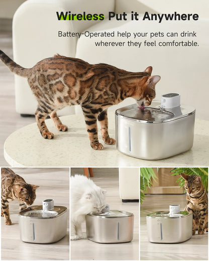 FurFlow™️ Portable Stainless Water Fountain